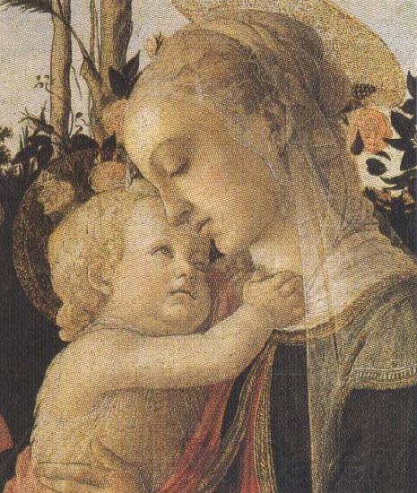 Sandro Botticelli Madonna of the Rose Garden or Madonna and Child with St John the Baptist Norge oil painting art